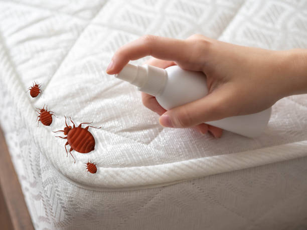 Best Real Estate Pest Inspections  in West Ack, NY